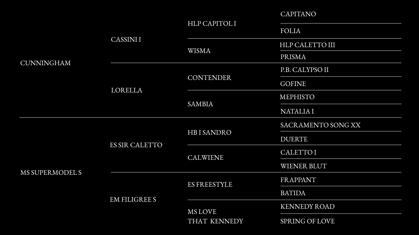 calvin:caroline pedigree.png