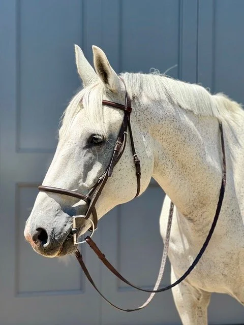 Catfish Headshot 2024.jpeg