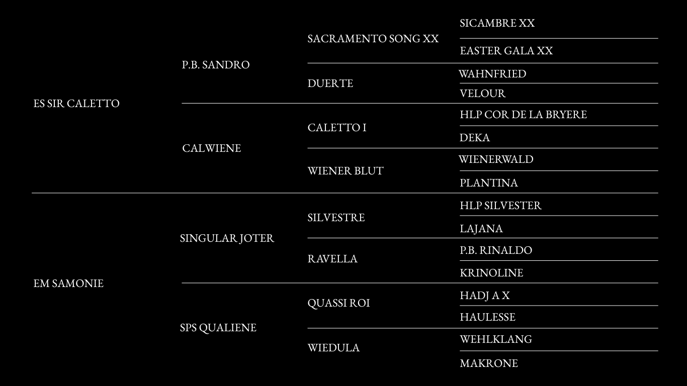 saks pedigree.png