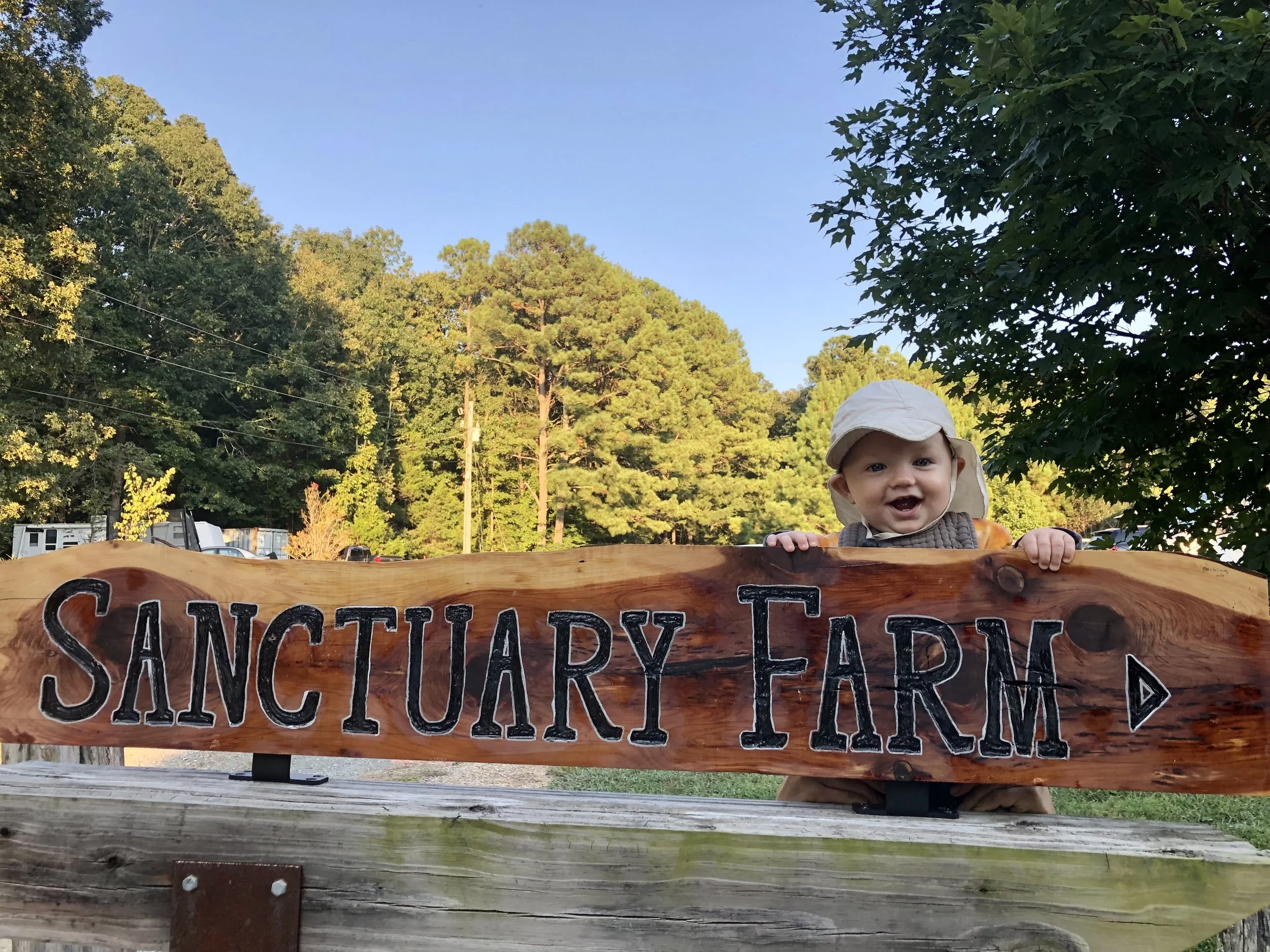 Sanctuary Farm