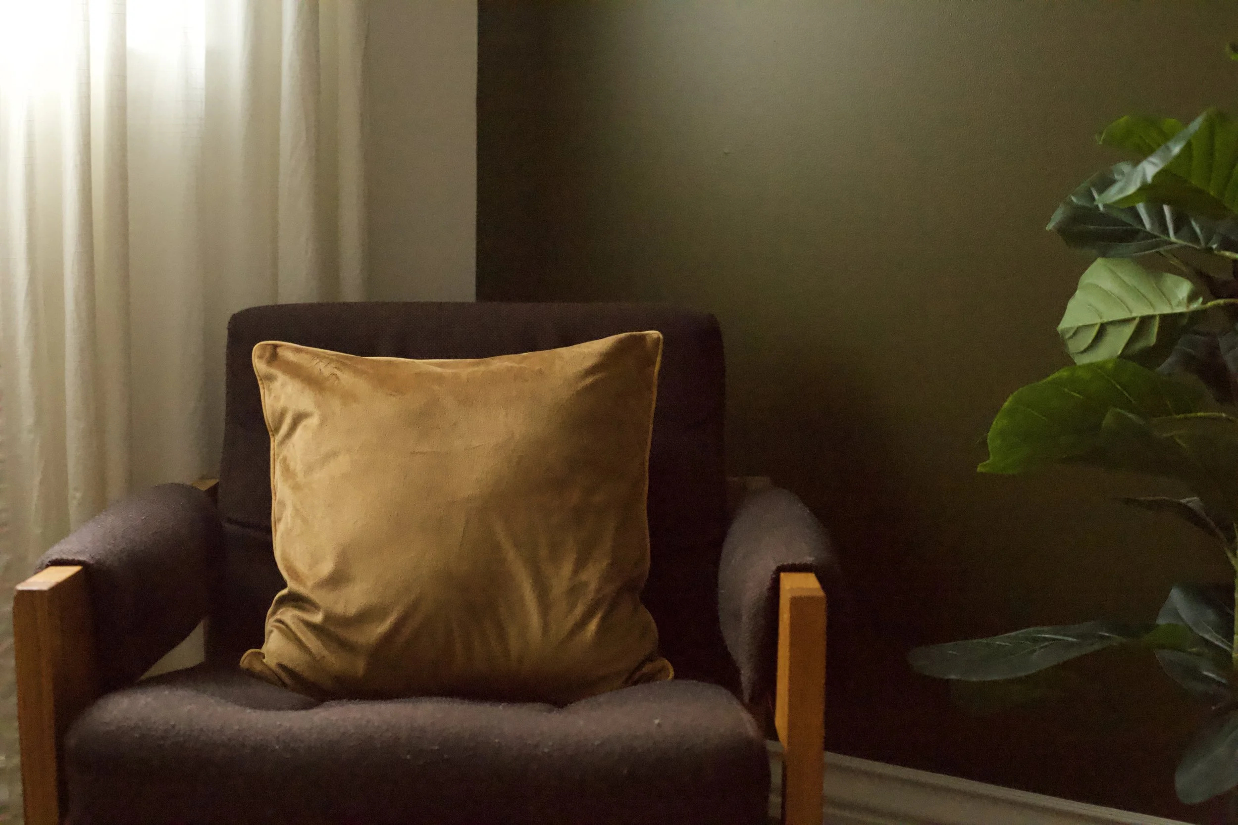 chaise marron avec un coussin doré, plante verte à droite, rideau blanc à gauche, mur sombre en arrière-plan.