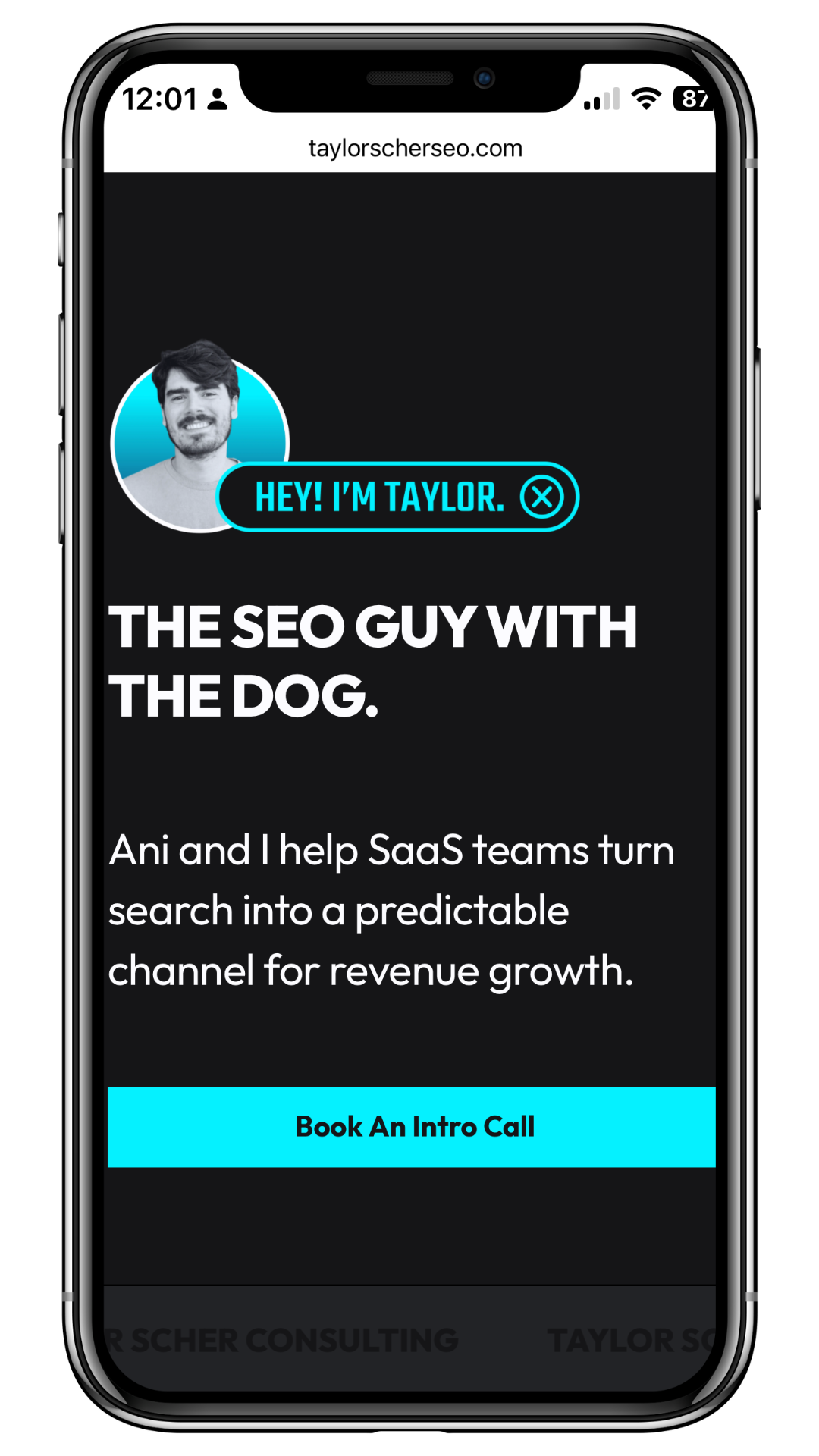 Smartphone screen displaying Taylor's SEO consulting website with a profile picture of Taylor, a greeting bubble saying 'Hey! I’m Taylor.', and a button to book an intro call.
