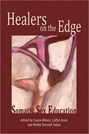 Healers on the Edge edited by Cassie Moore, Caffyn Jesse and Mehdi Darvish Yahya