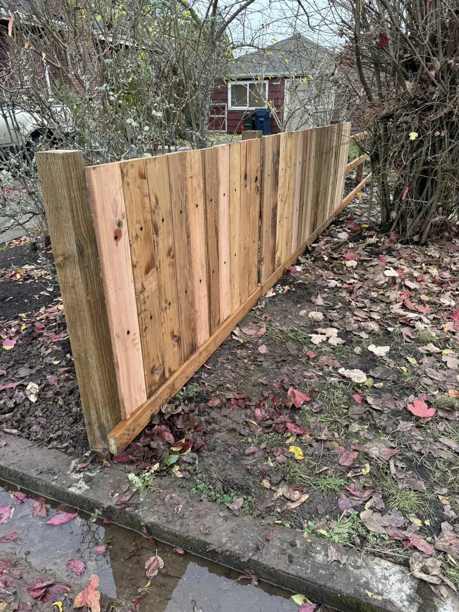 Fencing 