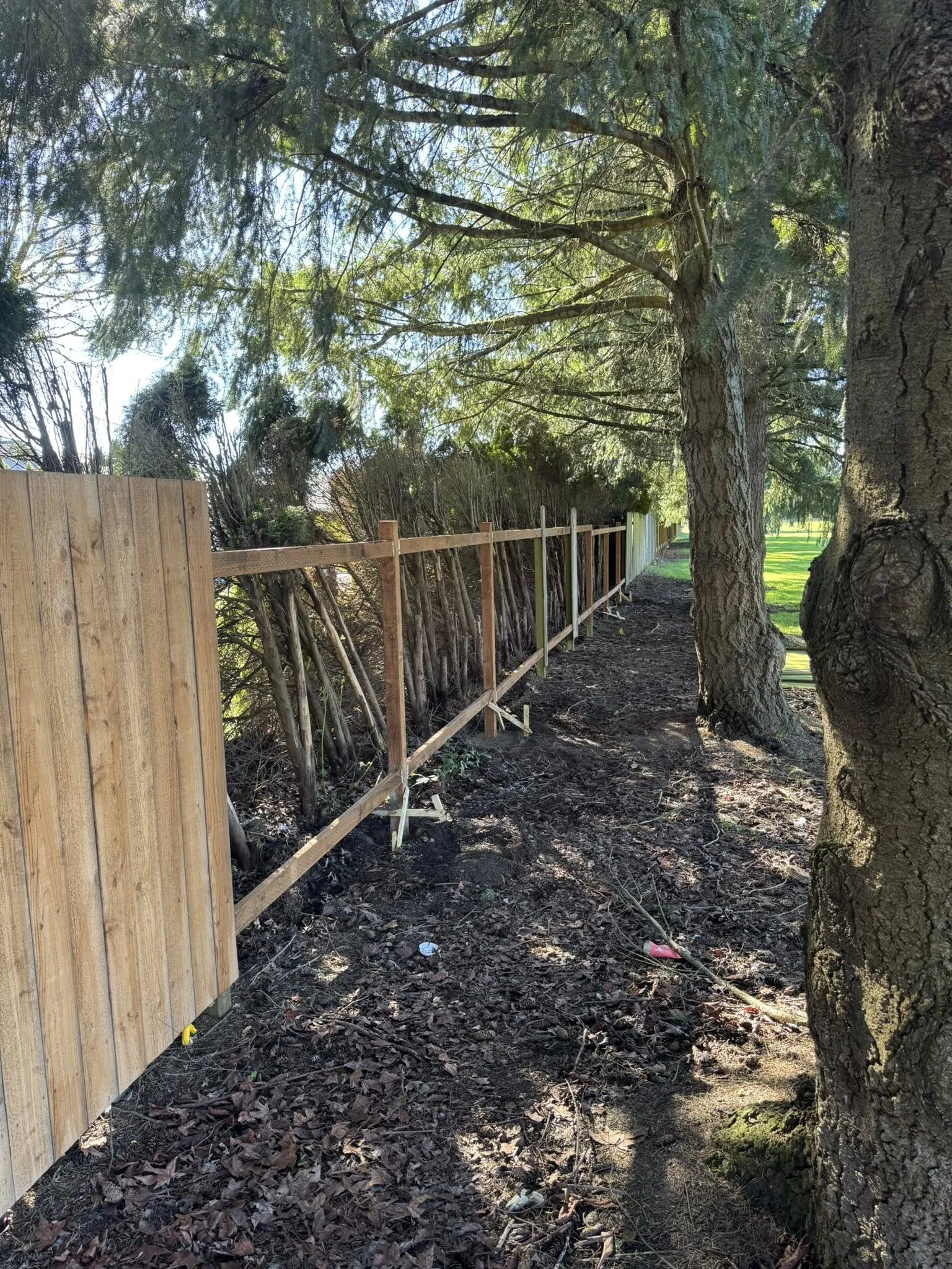 Fencing in progress.jpg