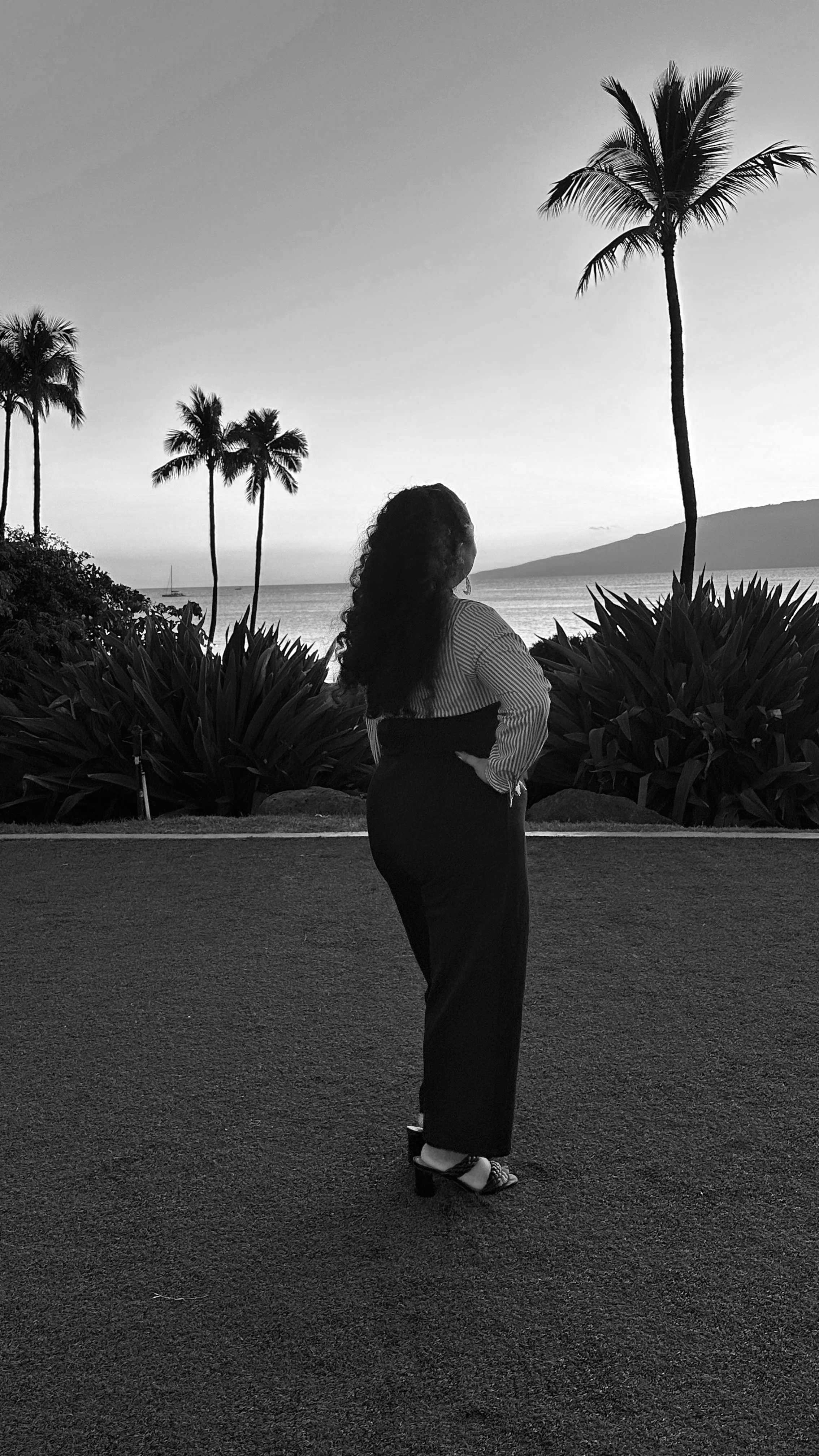 Erykah Benson presenting research at the Hawaii International System Sciences HICSS Conference