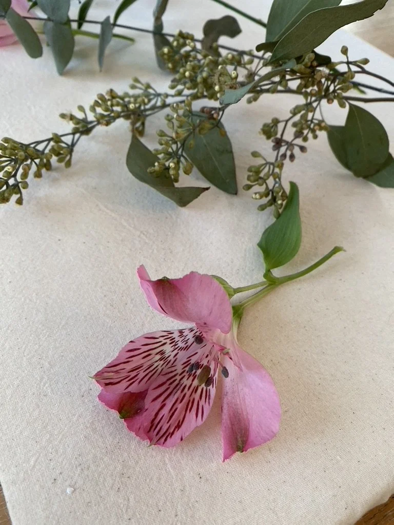 single pink alstroemeria flower and foliage on desktop