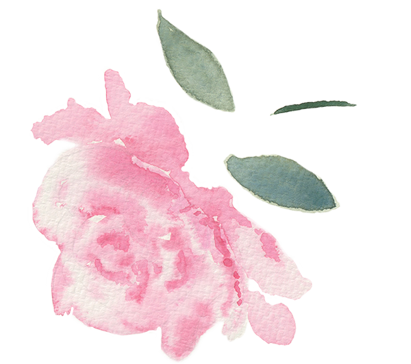 pink peony watercolour flower