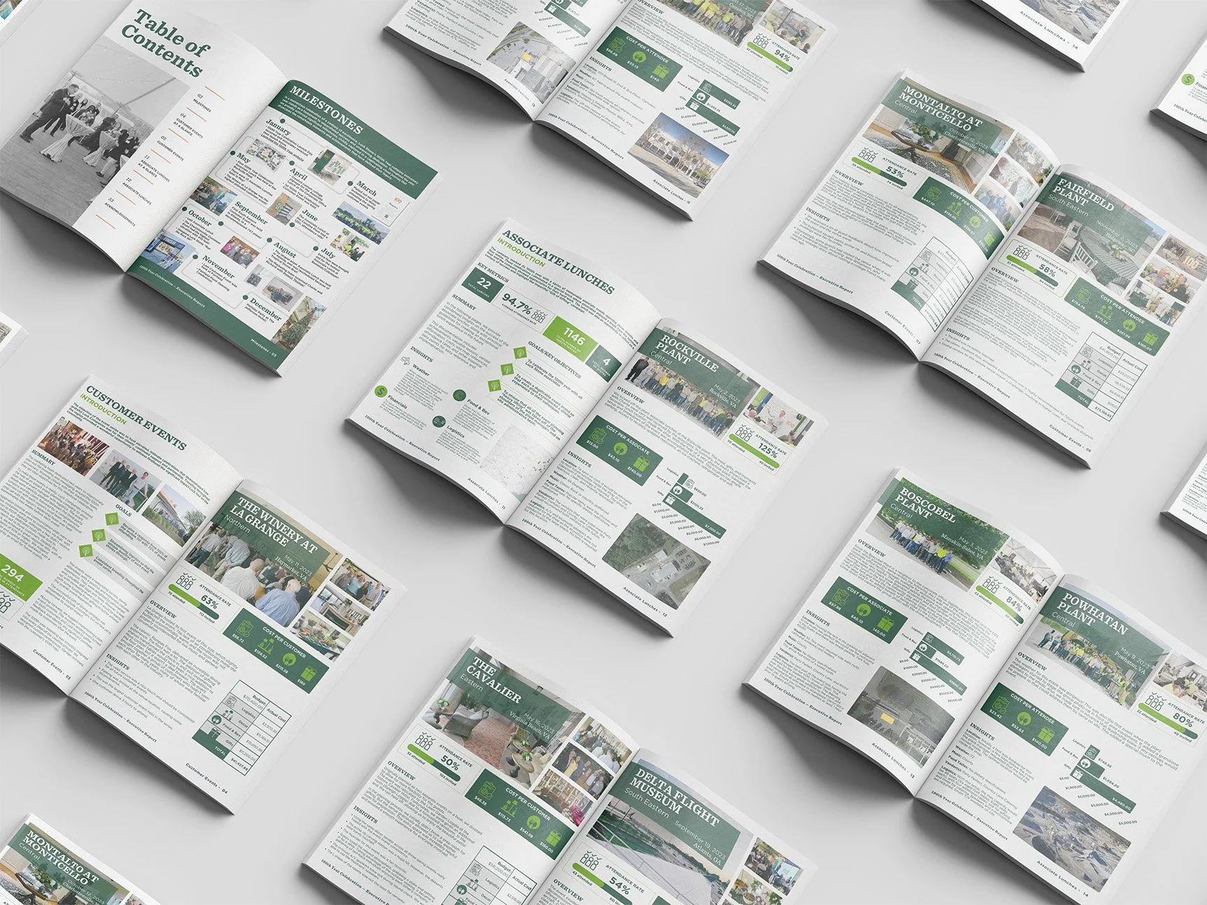 Executive Report Design [Luck Companies]