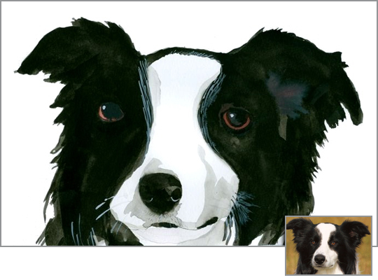 A watercolor painting of a Border Collie with black and white fur, focusing on the dog's face. Inset photograph shows the same dog.