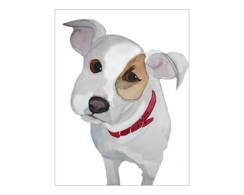 Illustration of a small white dog with a brown patch over its right eye, wearing a red collar, looking directly at the viewer.