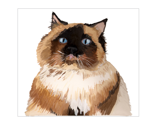 011.png