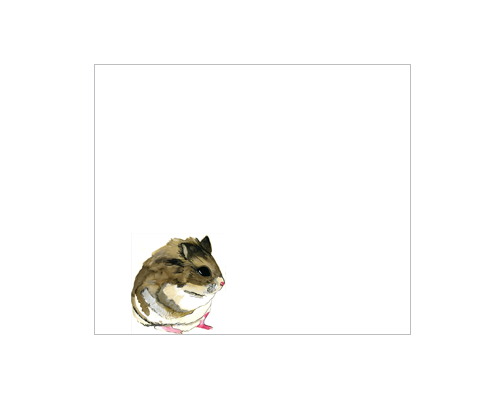 Small hamster with brown and white fur sitting on a white background.