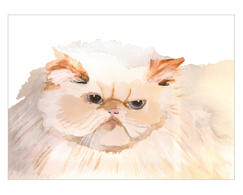 015.png