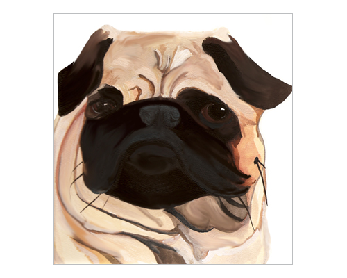 007 (1).png