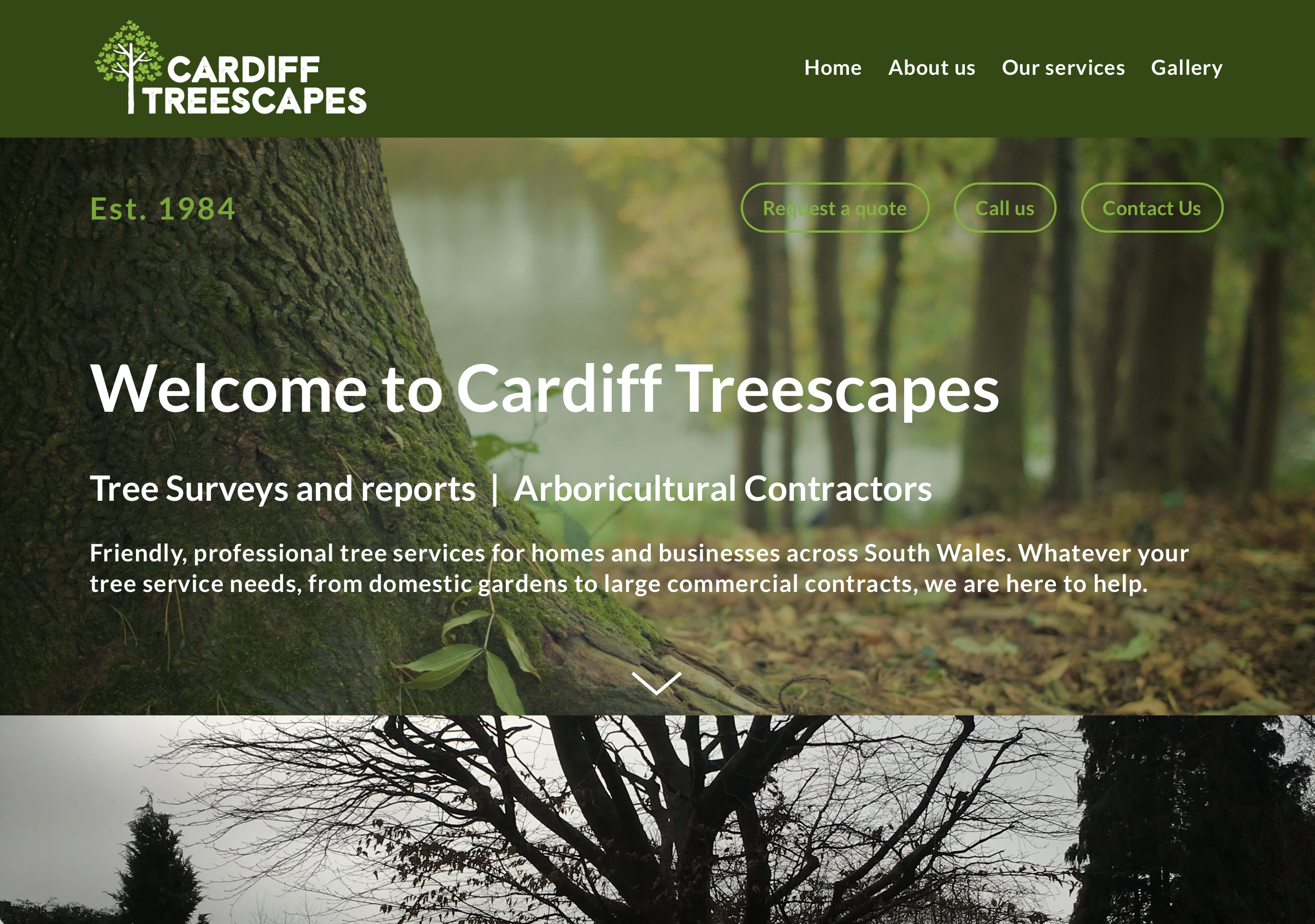 Cardiff Treescapes: Grounded Design