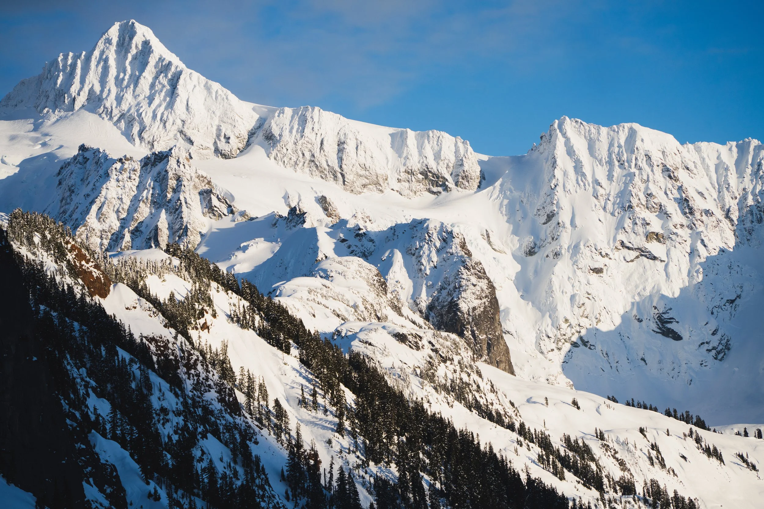 Snow-covered mountain peaks under a blue sky, with a forested mountainside in the foreground.