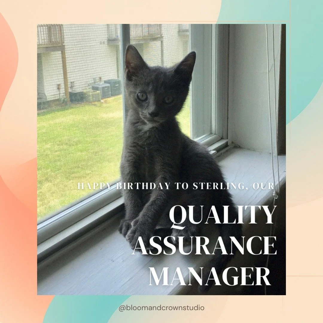 Happy Birthday to the CEO of Vibes &amp; Quality Assurance 🐾

Sterling ensures all snacks meet expectations and all work is completed under direct supervision (preferably on top of him).

We run a tight operation over here.