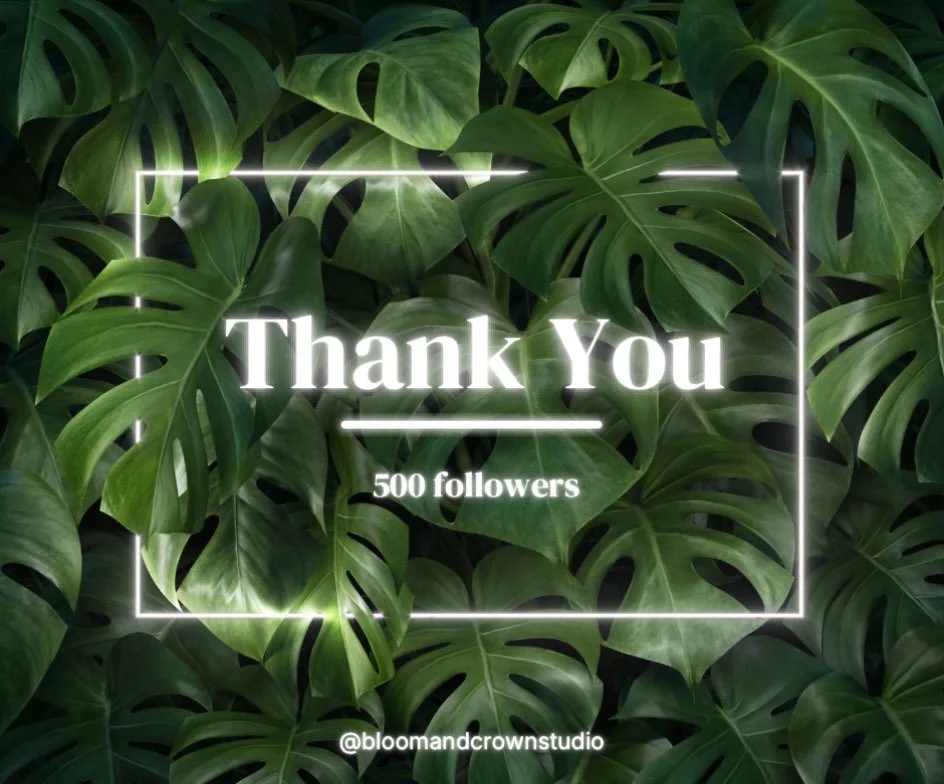 500 of you?! 🥹🌿

What started as me deciding to take my web design business seriously has turned into a growing little community of business owners, creatives, and people cheering Bloom &amp; Crown Studio on.

Every follow, share, comment, inquiry,