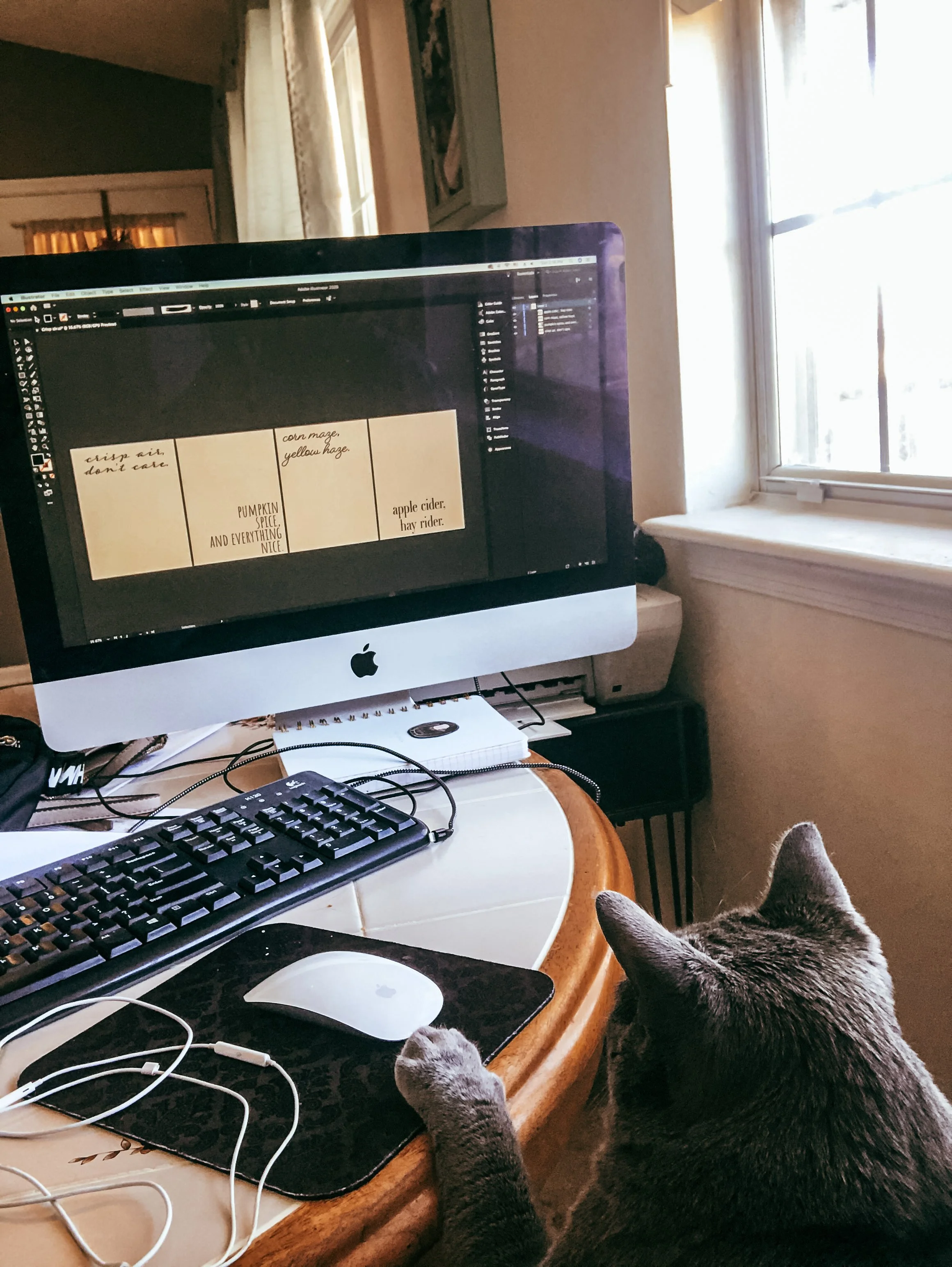 A gray tabby cat sitting at a desk with a computer keyboard and mouse, looking at a large iMac displaying a graphic design project. The desk is near a window with sunlight coming in, and there are notebooks, cords, and other office supplies on the desk.