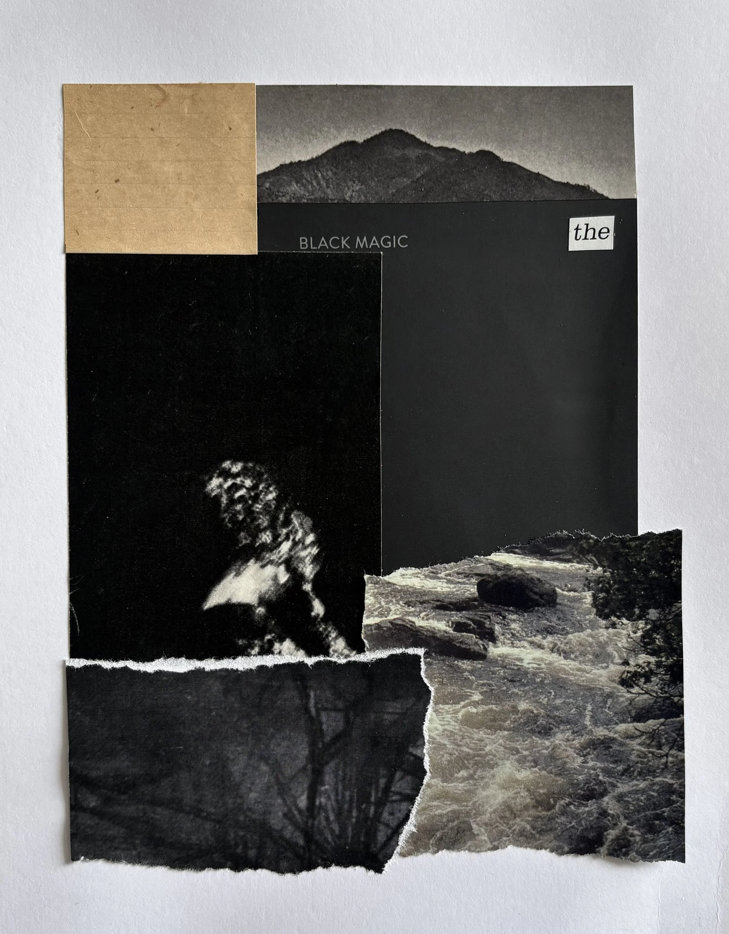 %22black star I%22 2025 8 x 10 collage on paper nmlandfair.jpeg