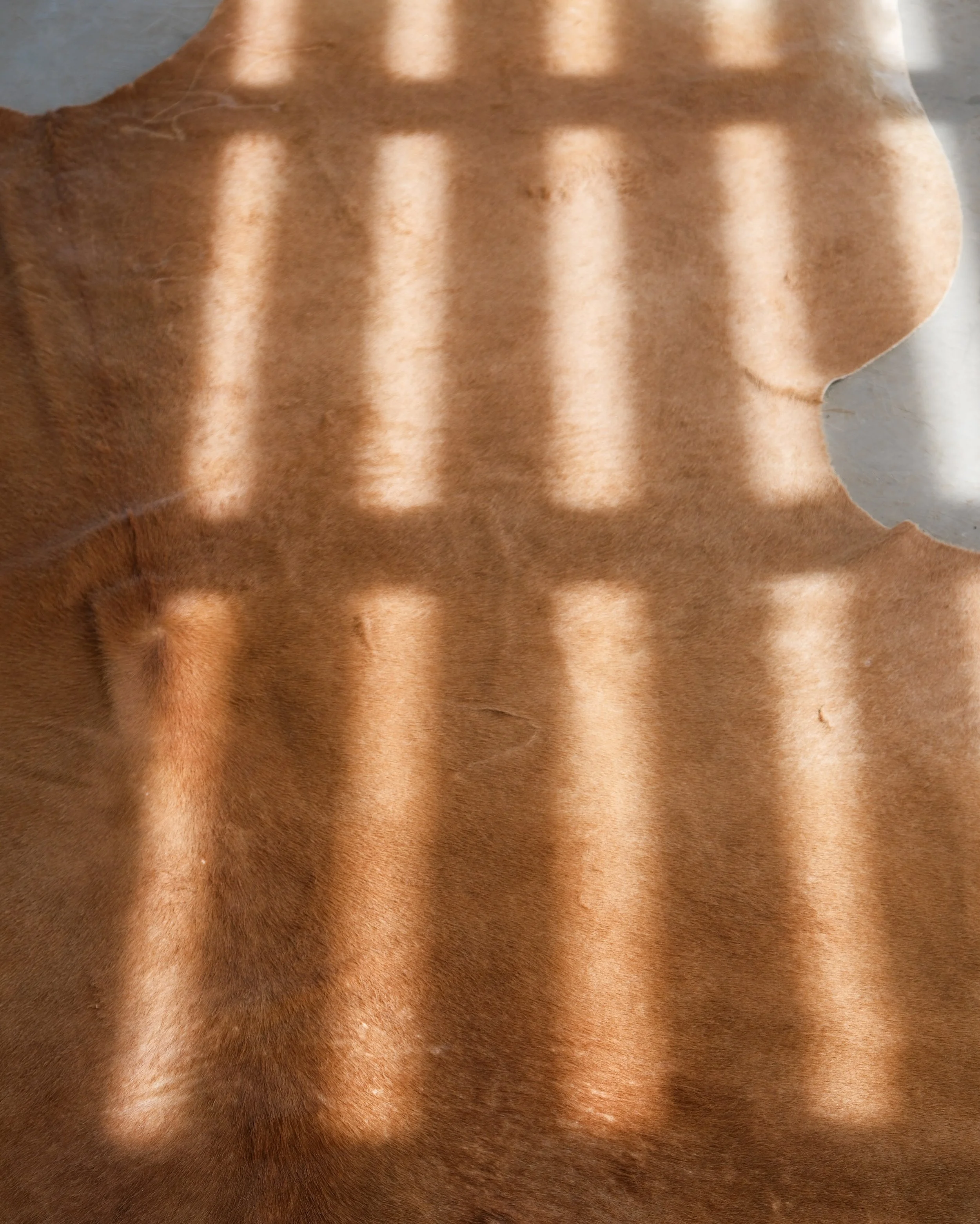 DSCF3374 copy 2.jpeg