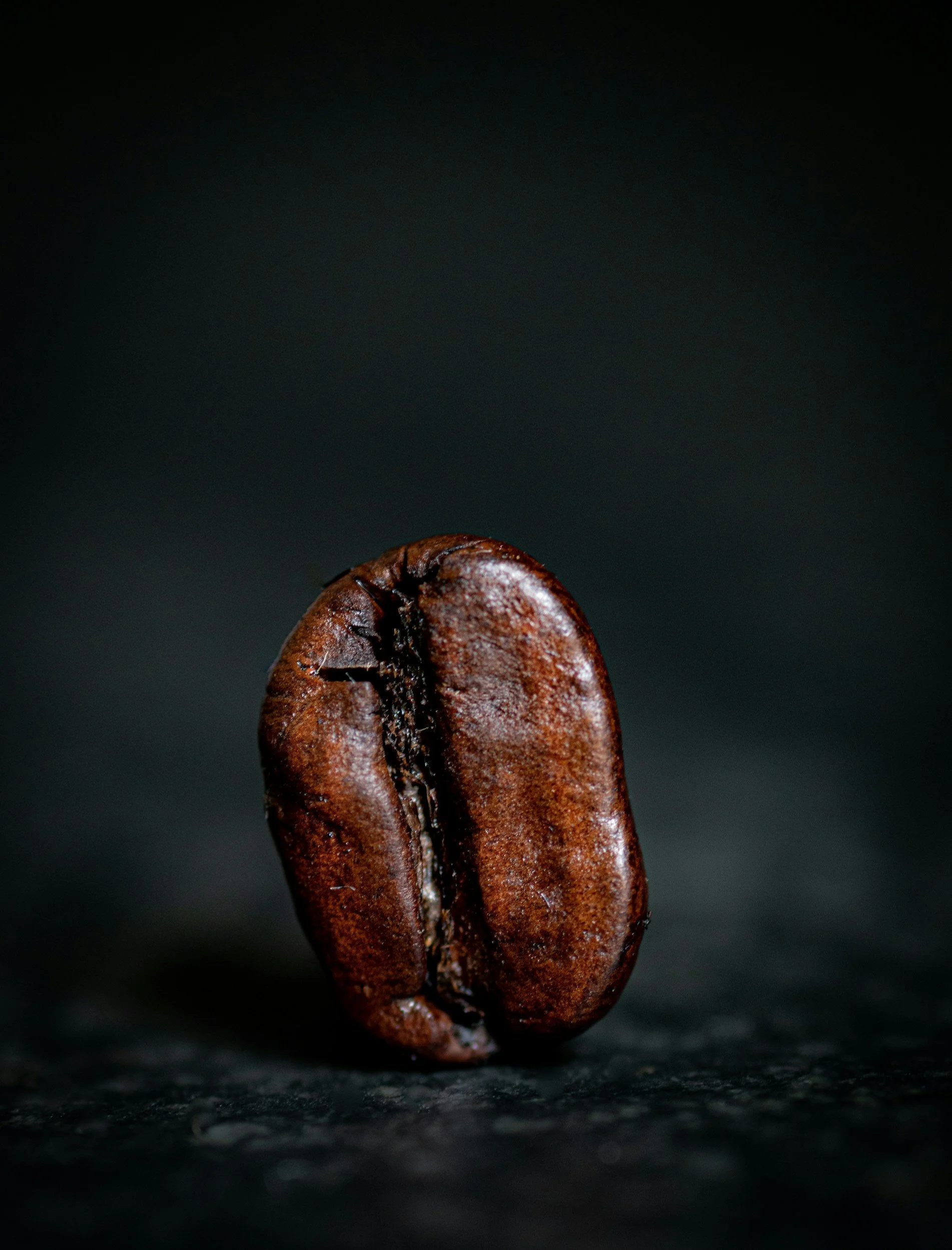 Close-up of a roasted coffee bean on a dark surface with a dark background.