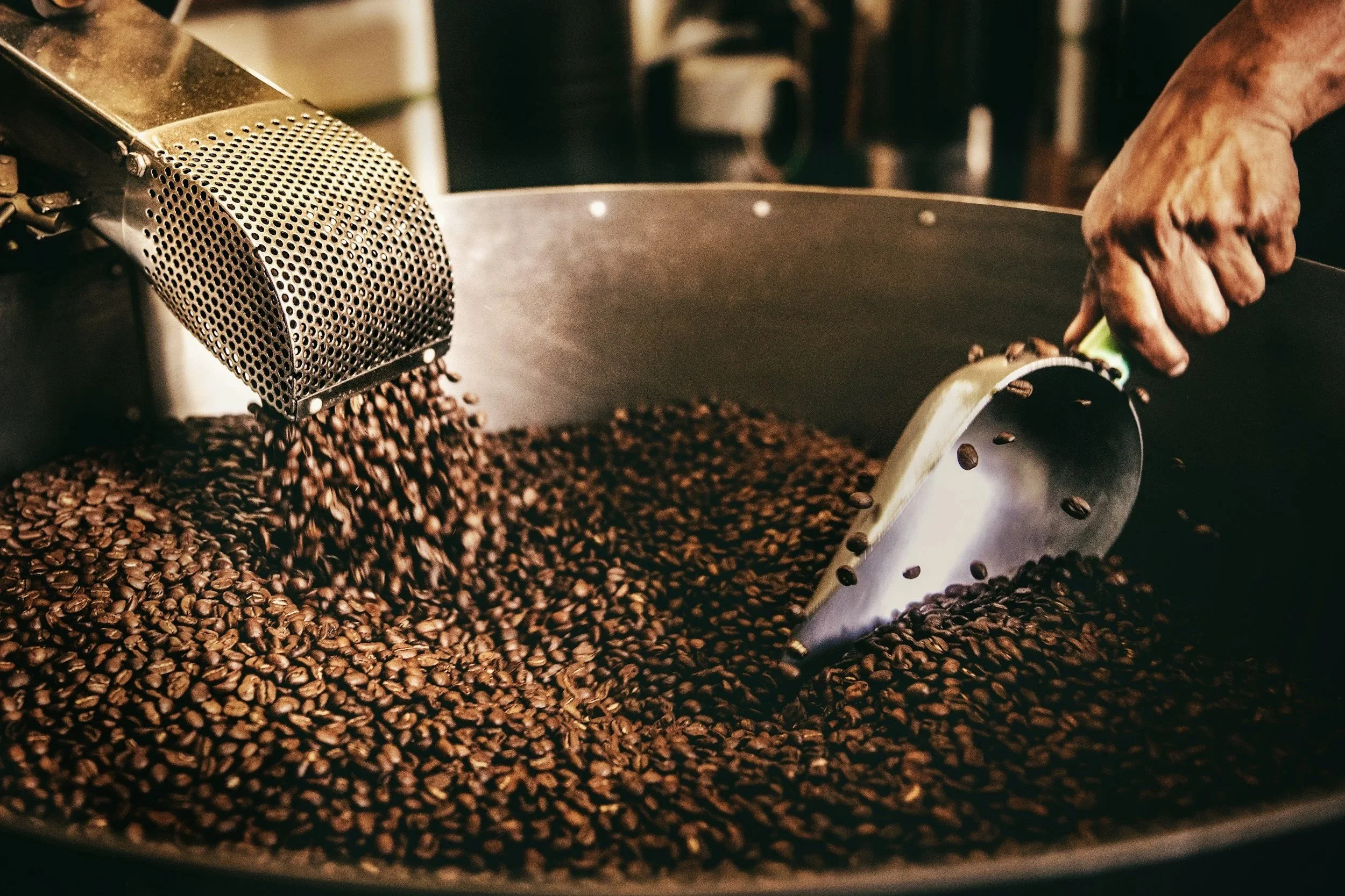 A person using a scoop to stir roasted coffee beans in a large metal roasting pan, with a coffee bean cooler or vent in the background.