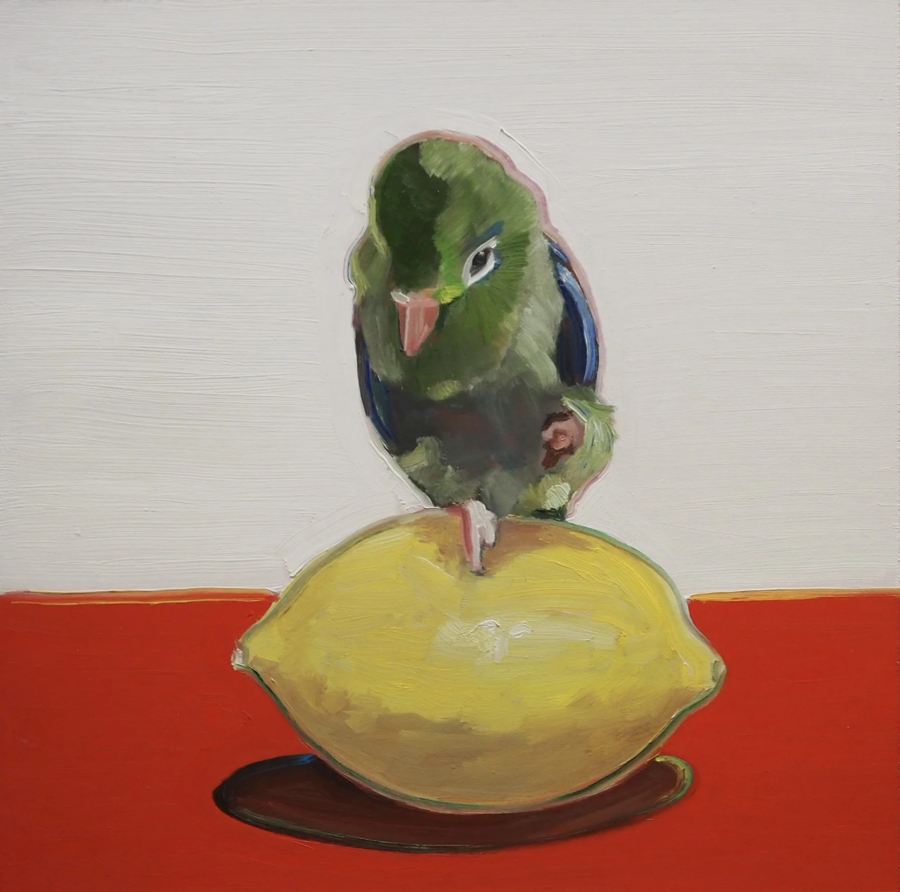 “Chacko on Lemon.” 14”x14.’ Oil on wood. 2025