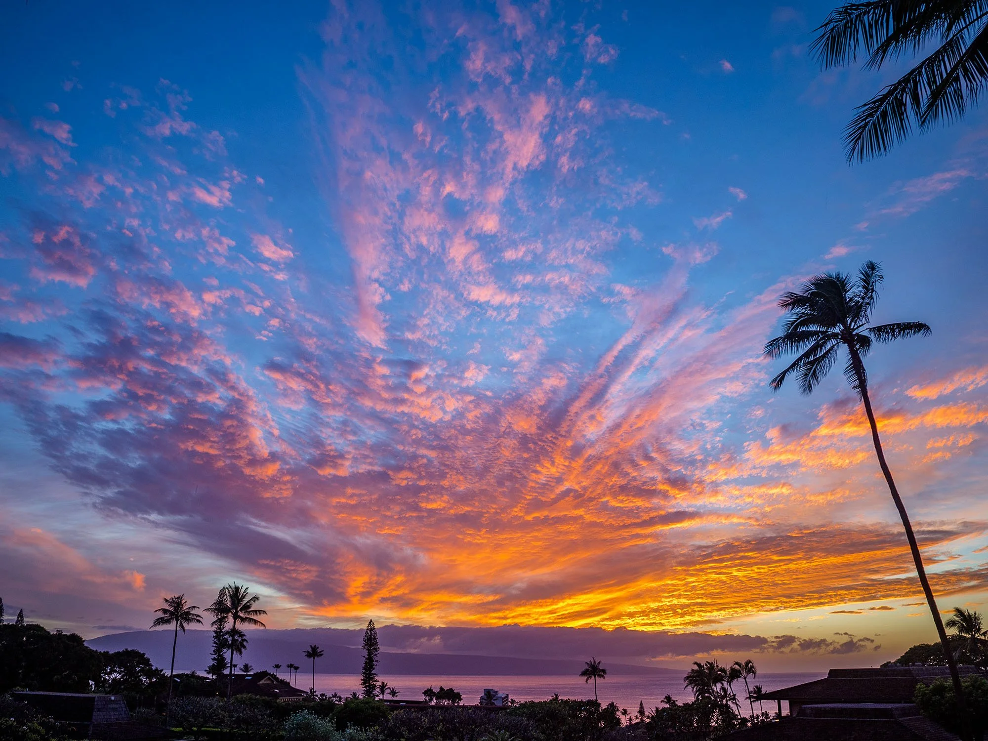 06 DC-Kilohana-Skies.jpg