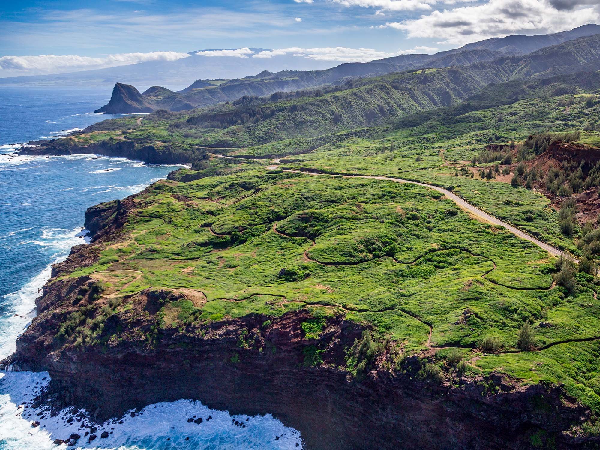 10 DC-Heliops-536kb.jpg