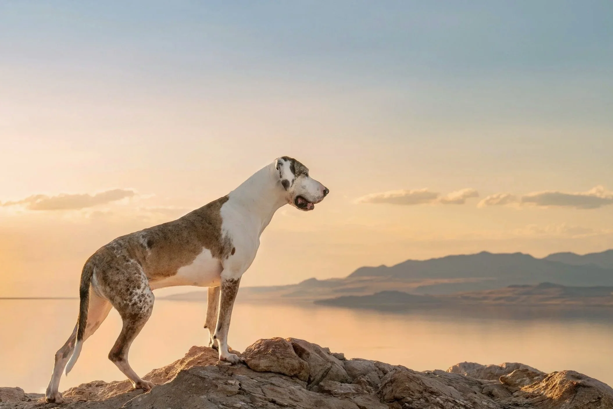 Sunlit rock and open sky above the Great Salt Lake.