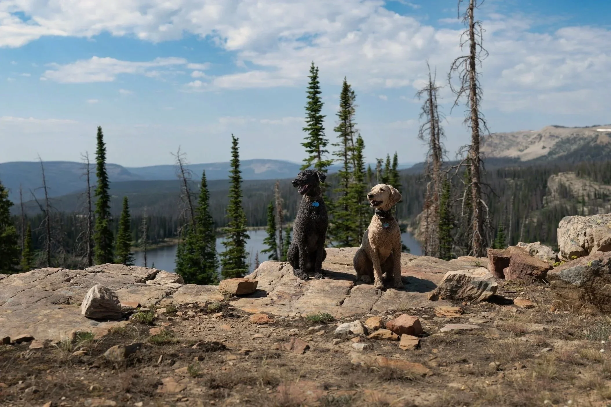 Thin air, big views, and glacier-carved basins.