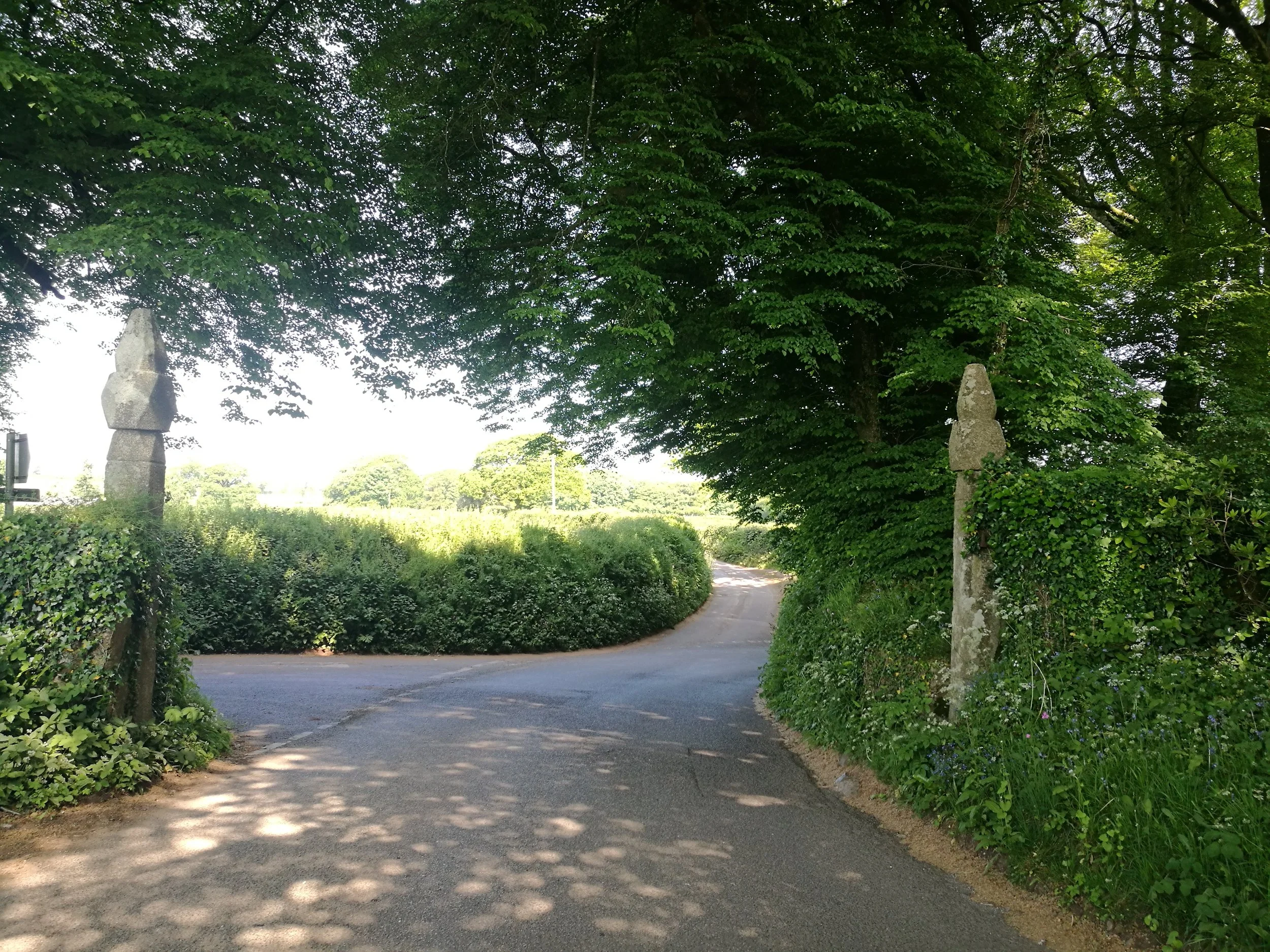 The History of This Land&nbsp;&nbsp;