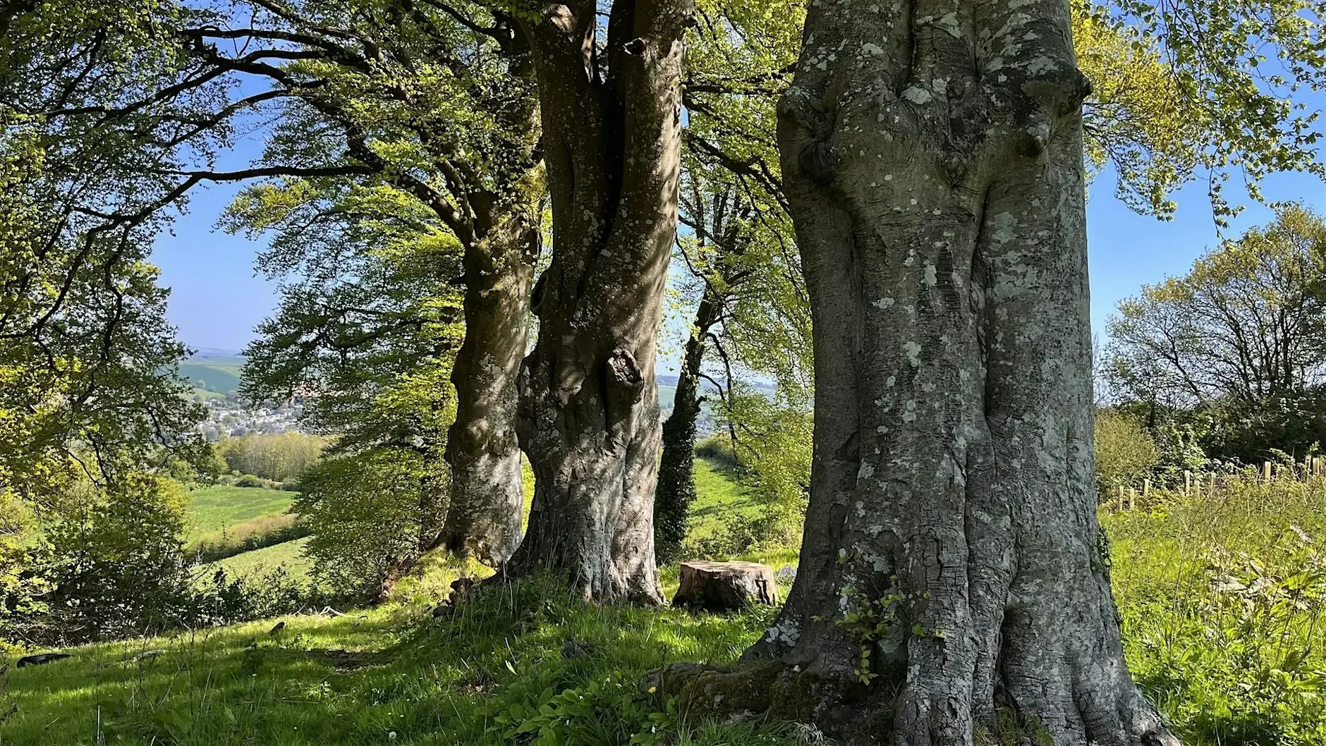 Sensory Presence - Nature Connection Workshop