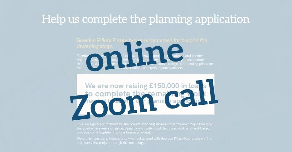Online Zoom Call 