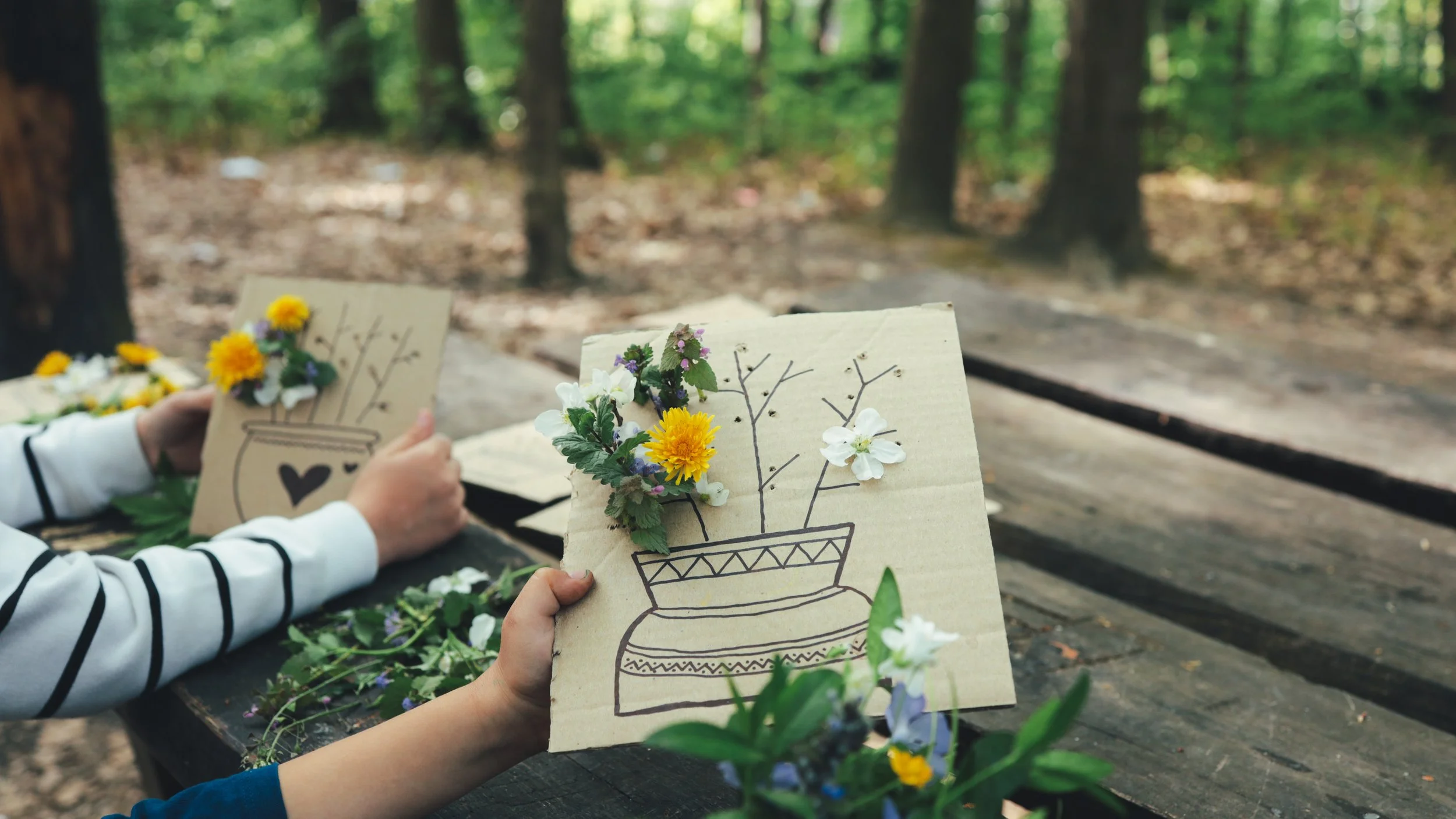 The Difference Between Art Therapy and Expressive Arts Therapy (And Why It Matters for Your Licensure)
