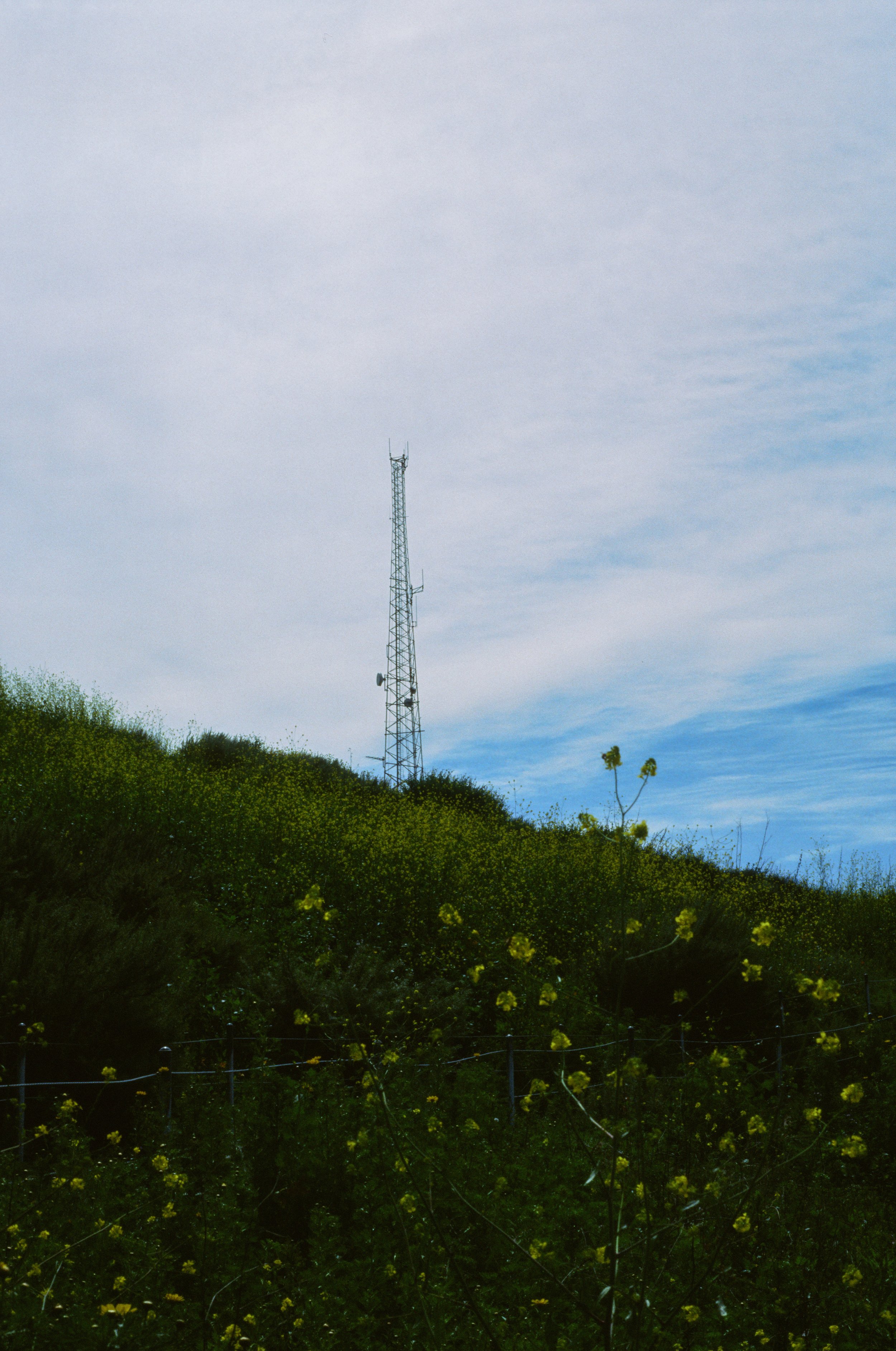 Ektachrome 100
Leica M6
APO-Summicron-M 50 f/2 ASPH