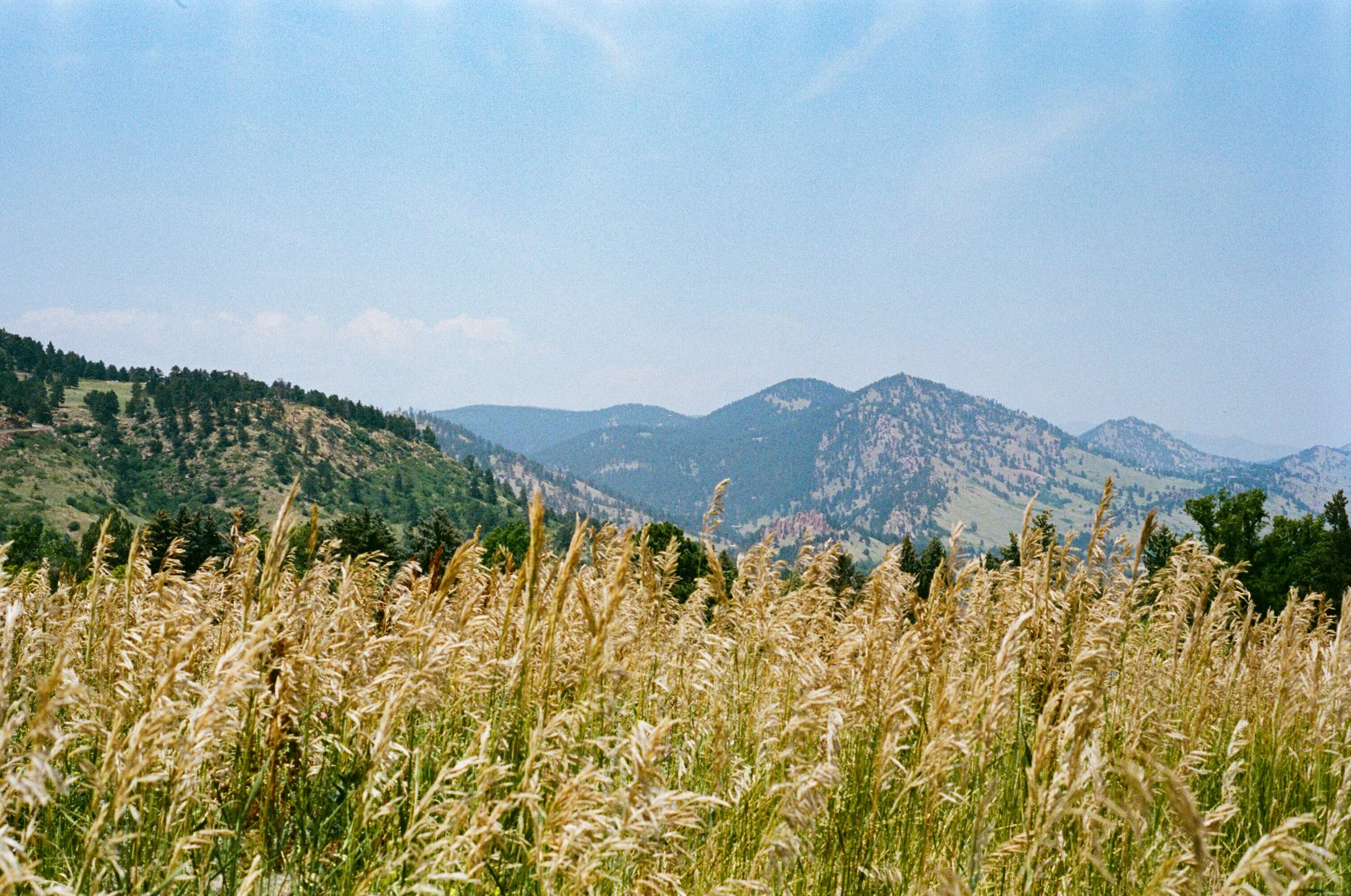 IMG_7582.JPG