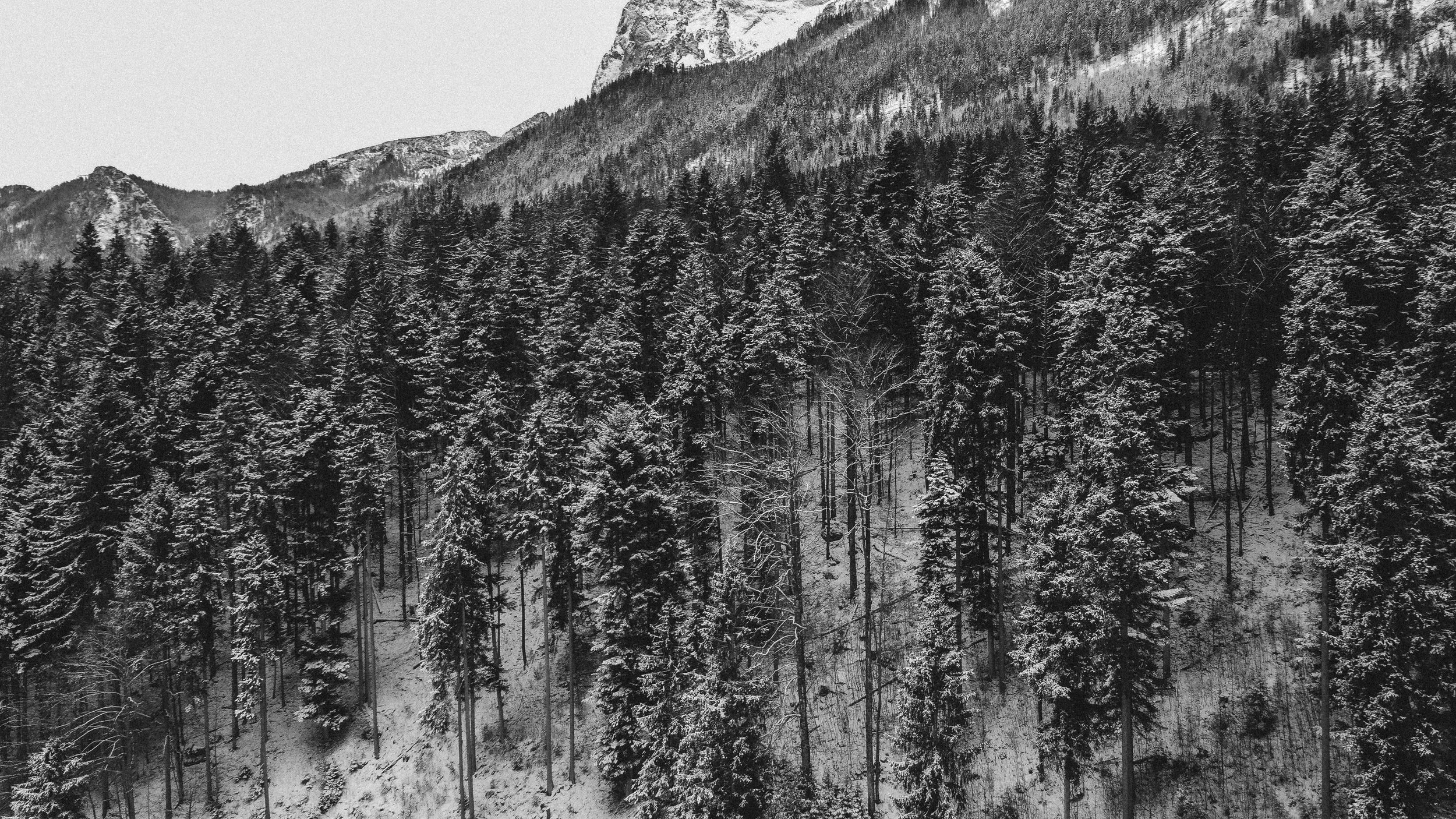 DJI_0076 2.jpg