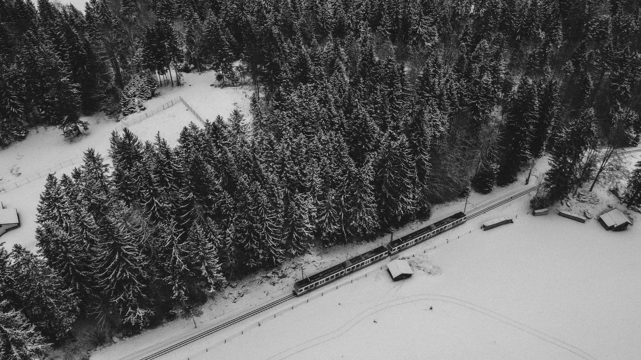 DJI_0081 2.jpg