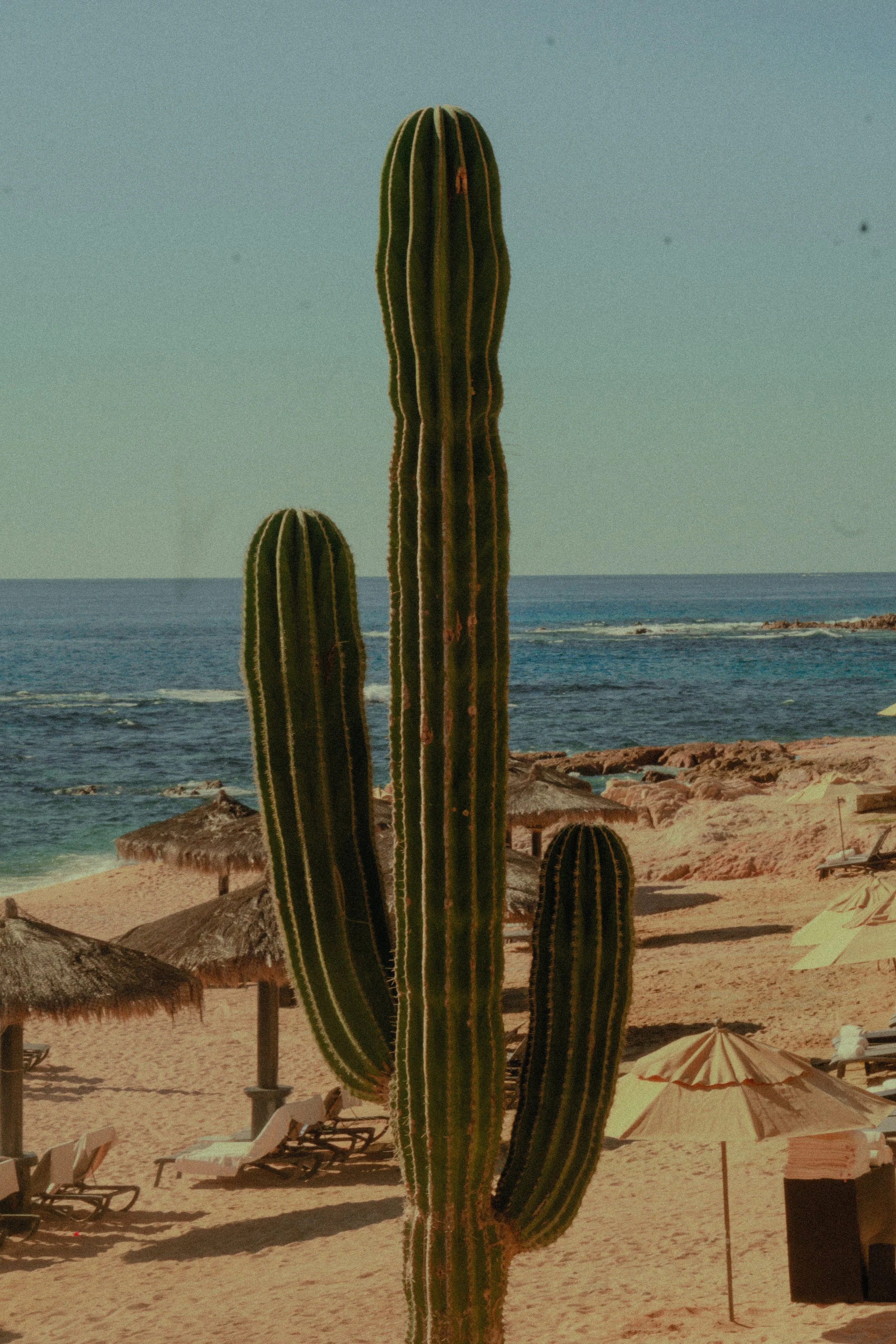 DSC07514.JPG
