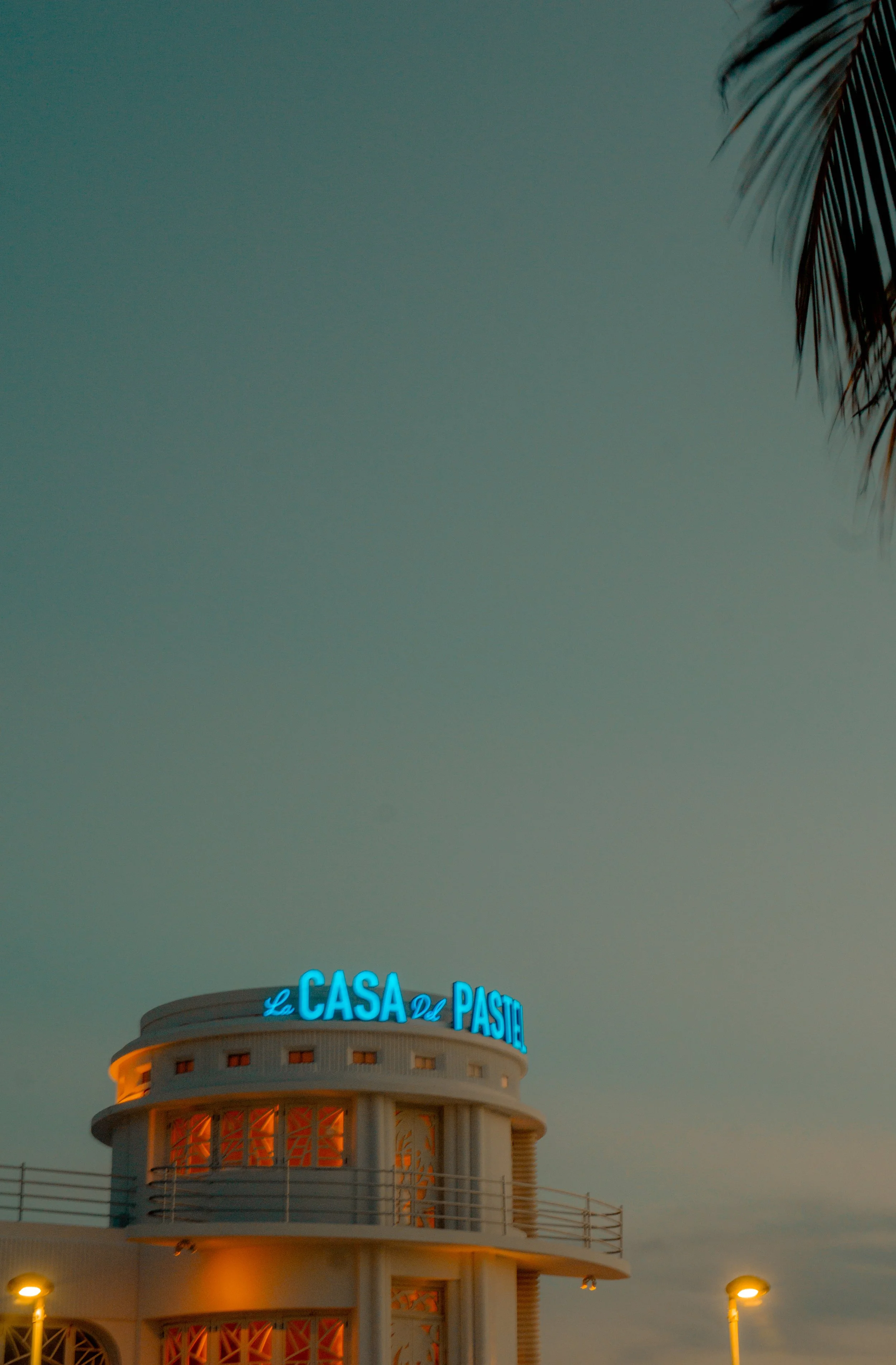 DSC07082 2.JPG