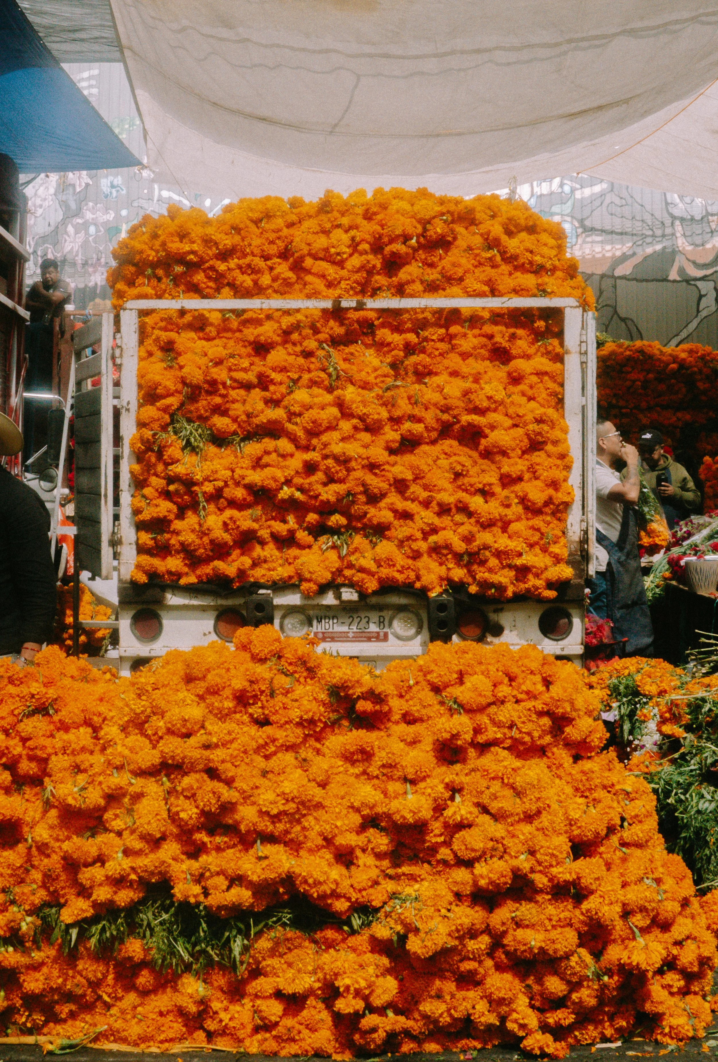 Mercado de Jamaica