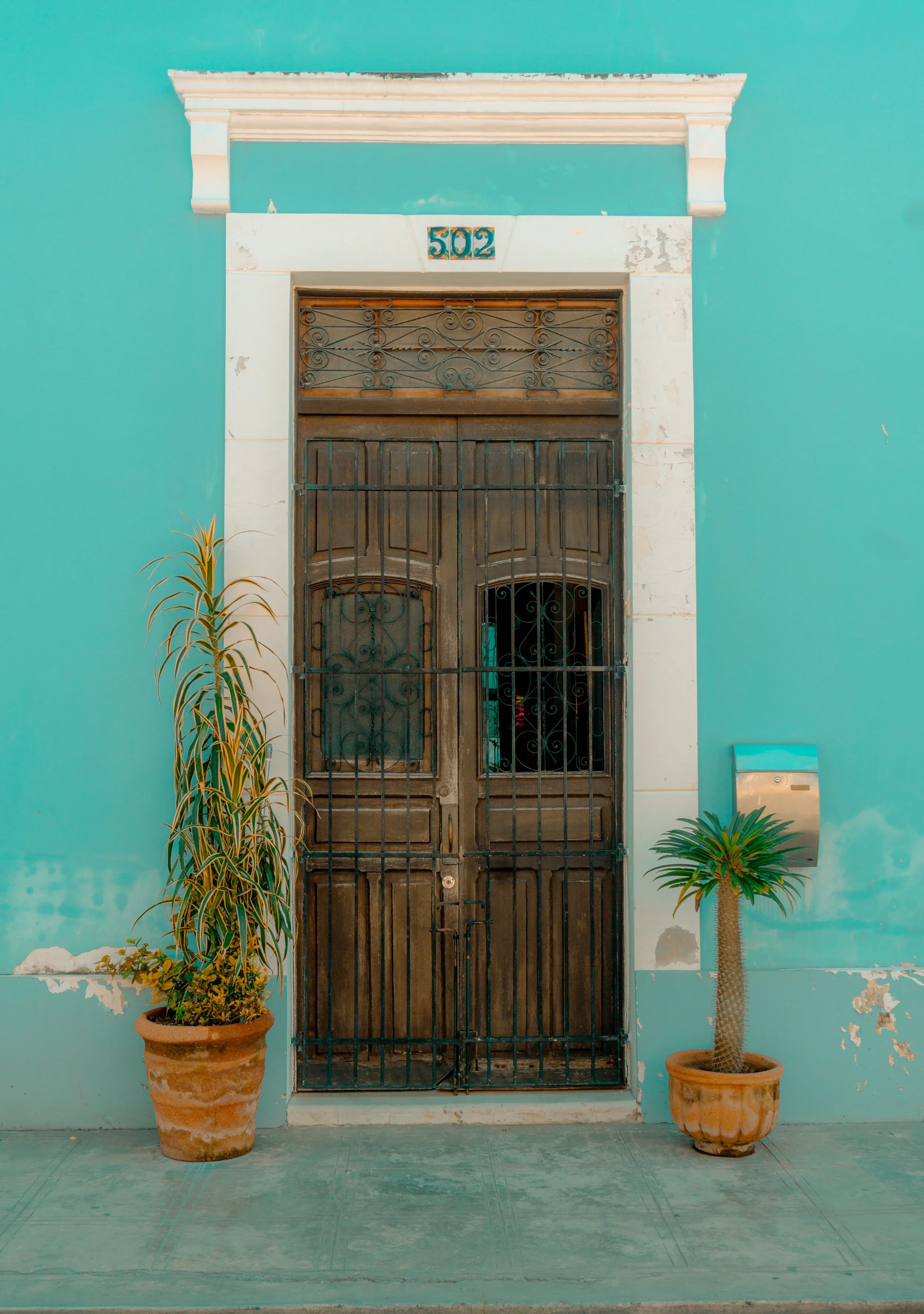 DSC07010.JPG