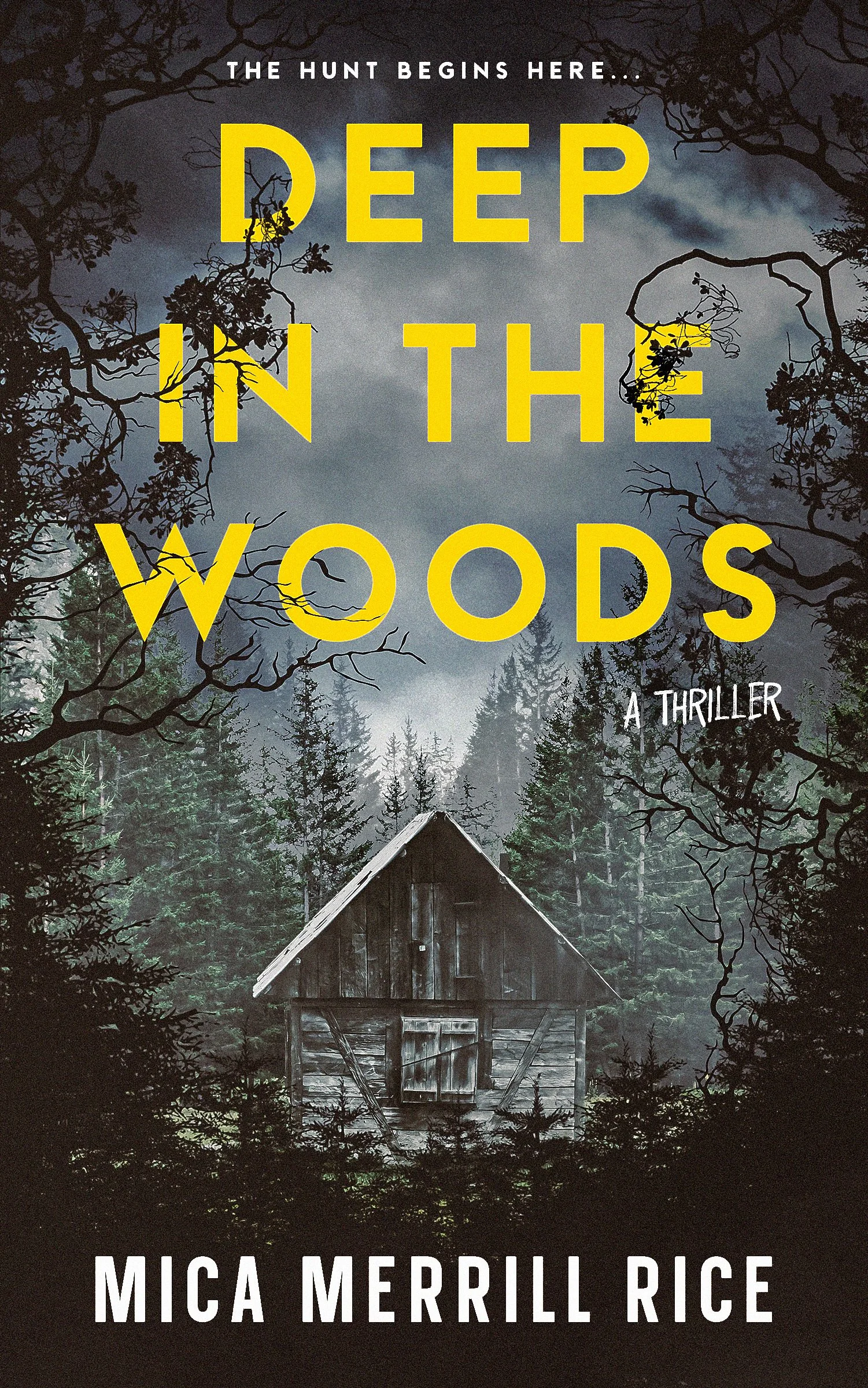 Deep in the Woods A Thriller by Mica Merrill Rice Author