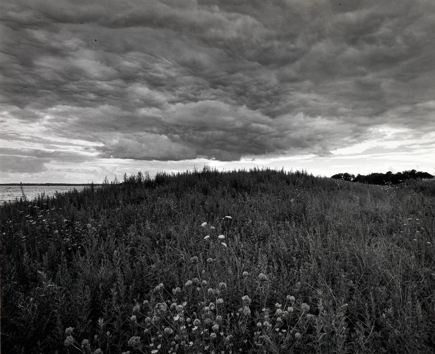  Lemon Creek Park, Staten Island, NY