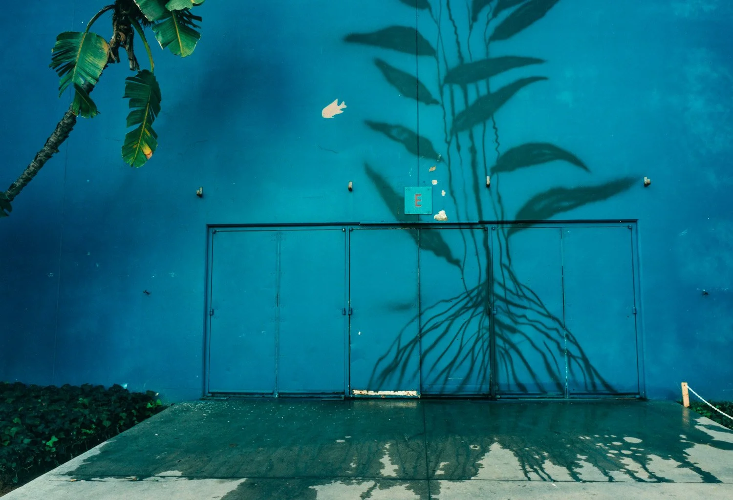  Convention Center,  Long Beach, CA