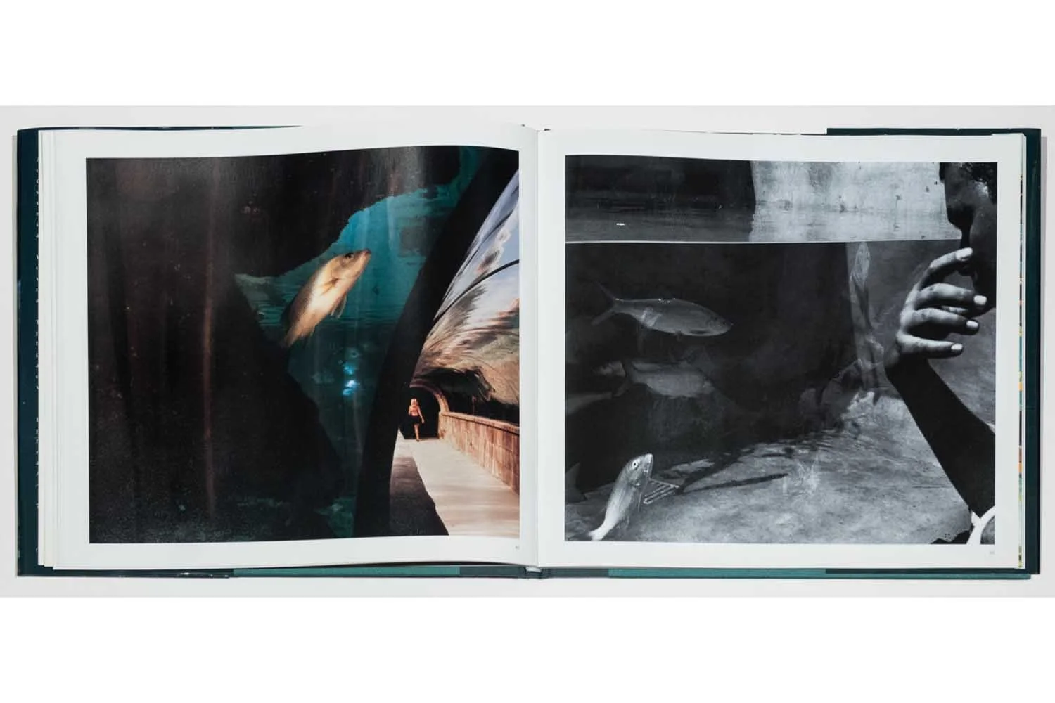 04_Diane Cook & Len Jenshel Photography_Books_Aquarium.jpg