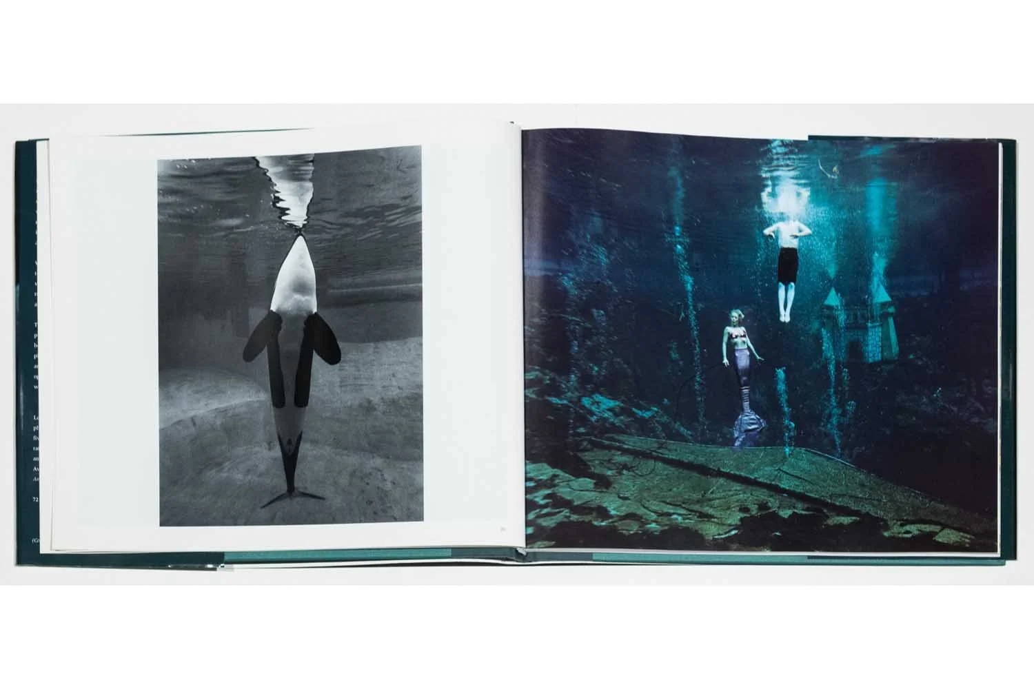 03_Diane Cook & Len Jenshel Photography_Books_Aquarium.jpg